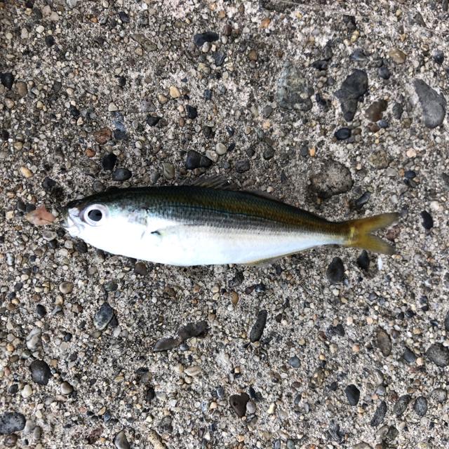 タカベ