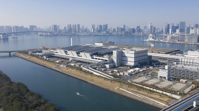 豊洲市場