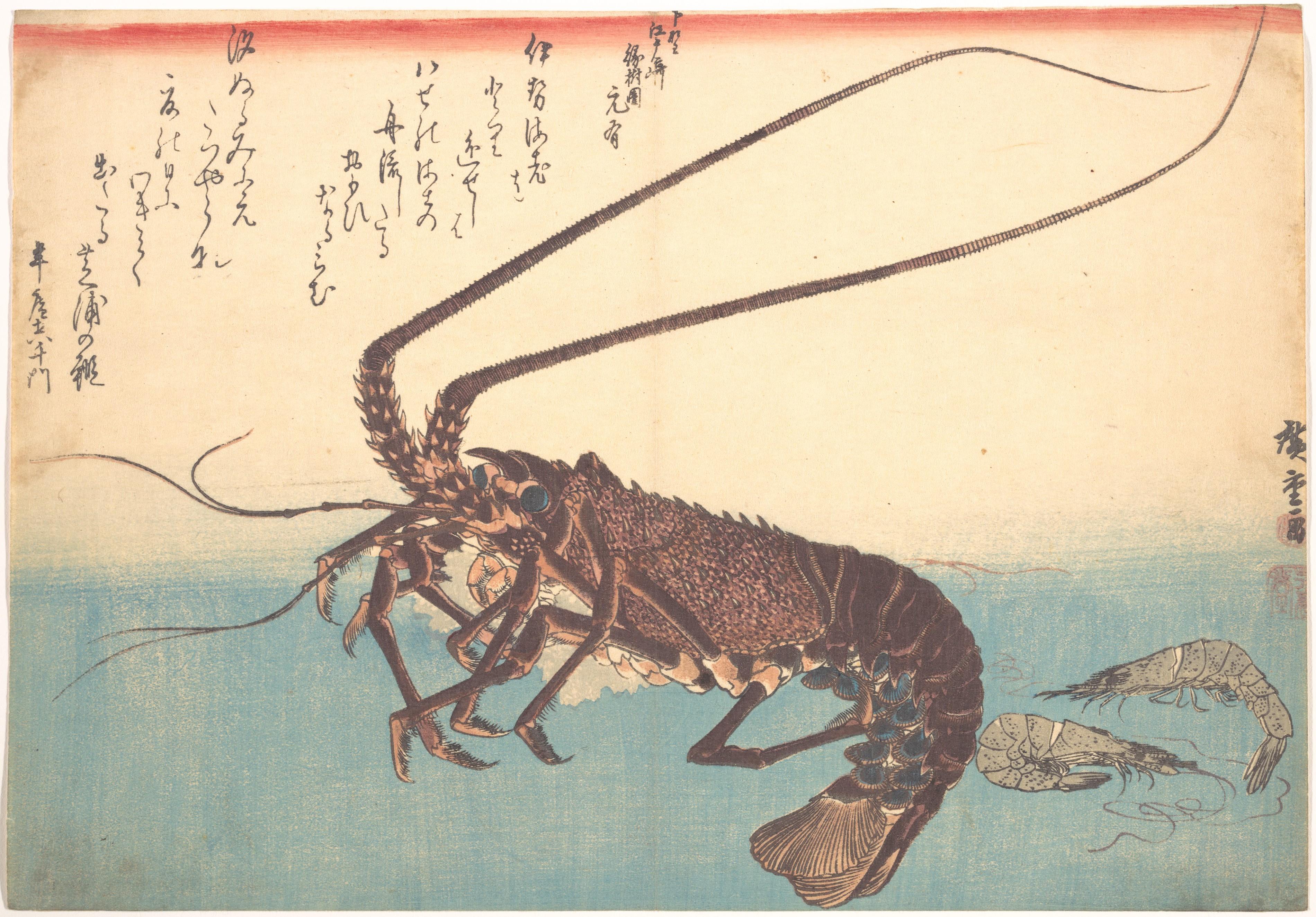 シバエビ