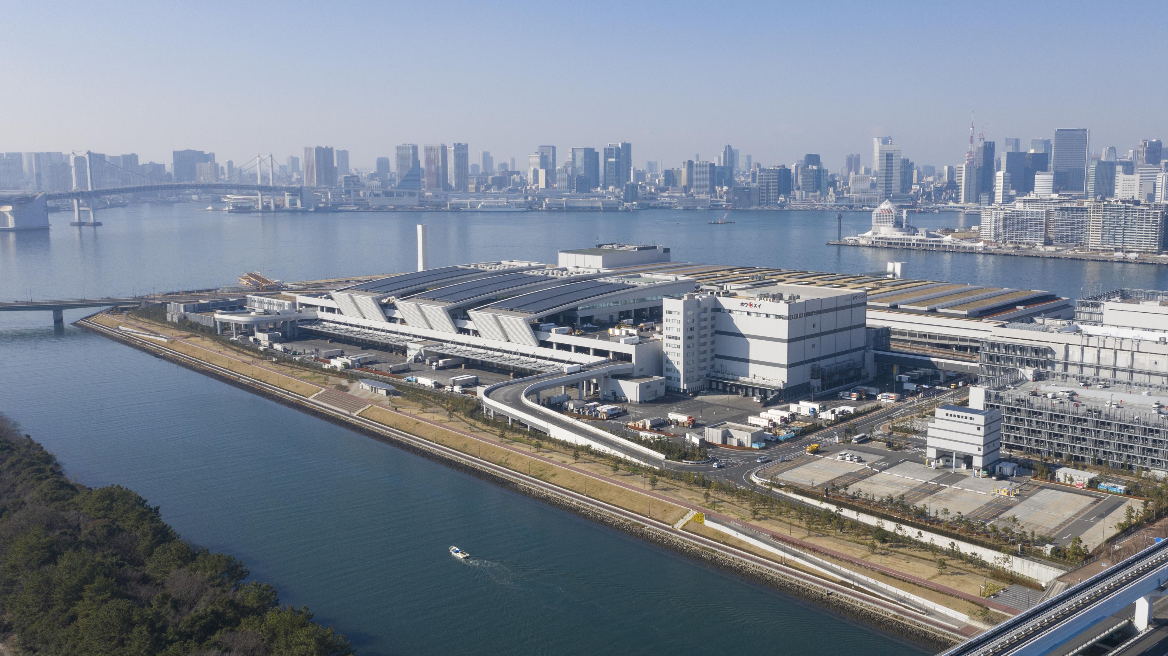 豊洲市場