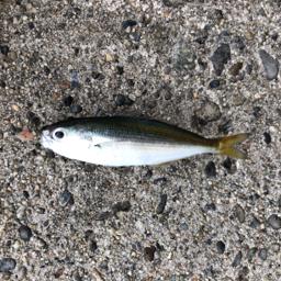 タカベ