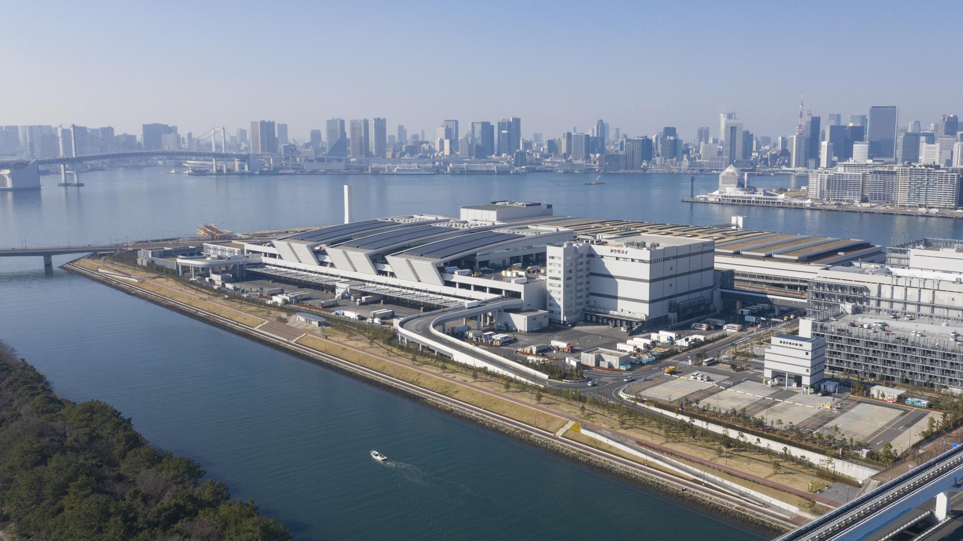 豊洲市場